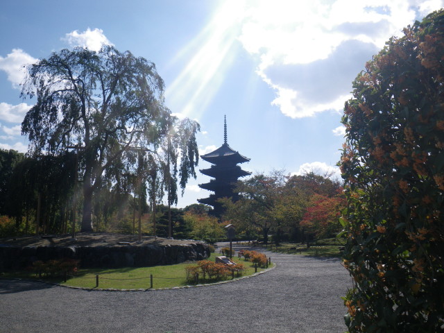 d0006512_10492485.jpg