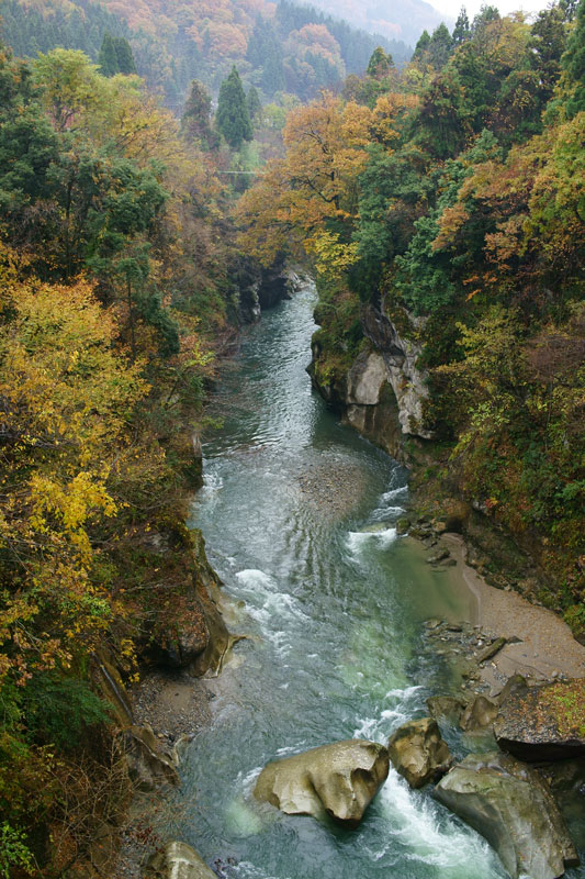 a0278914_5201117.jpg