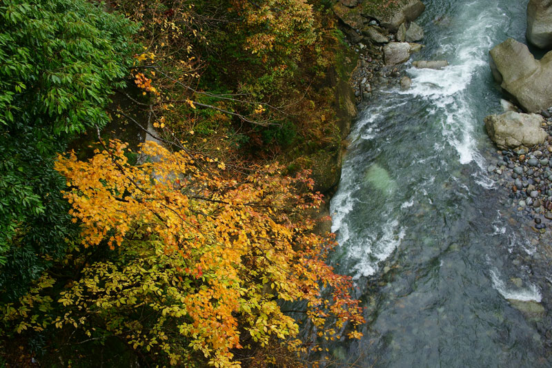 a0278914_5213147.jpg