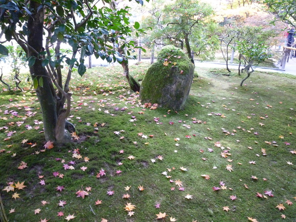 d0170615_9262289.jpg