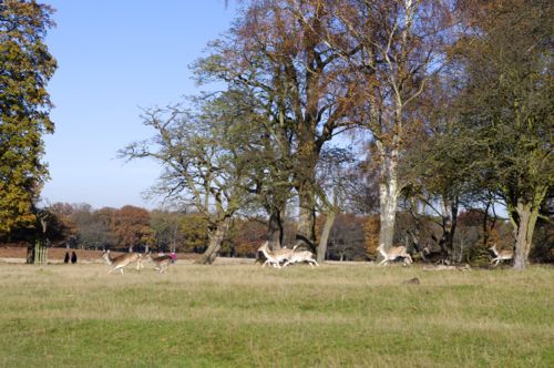 e0114020_804494.jpg