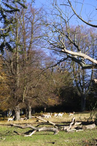 e0114020_82770.jpg
