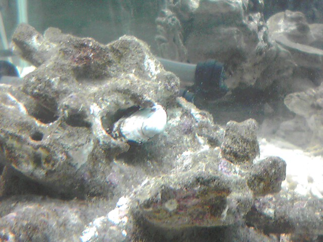 a0291521_7204666.jpg