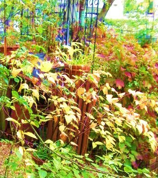 c0204121_15132546.jpg