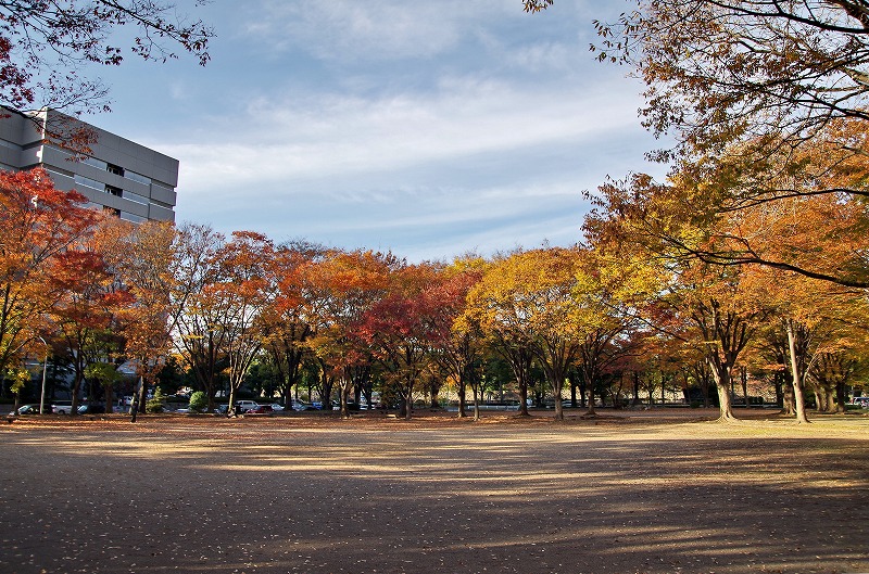 e0184921_1293586.jpg