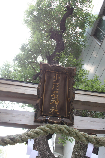 b0272531_9391298.jpg