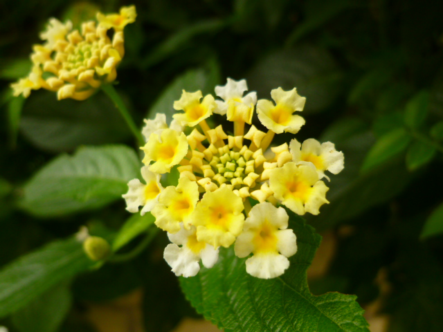 d0170140_2233153.jpg