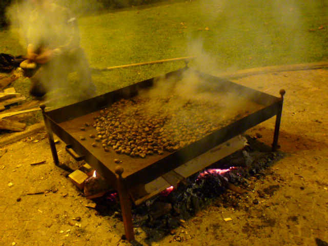 d0170140_7534498.jpg