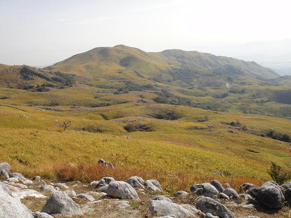 e0164643_14314560.jpg