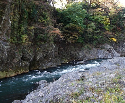 e0248844_1143286.jpg