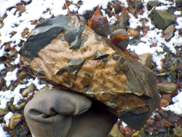 e0290546_2002053.jpg
