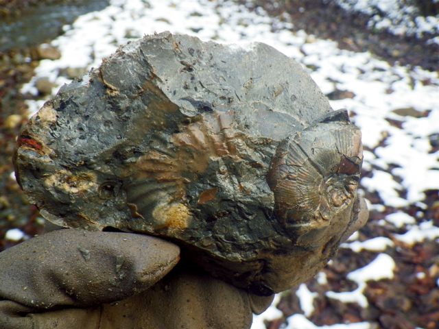 e0290546_2002361.jpg