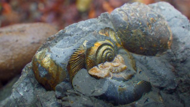 e0290546_2002514.jpg