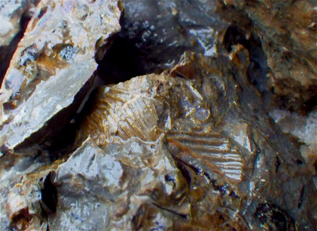 e0290546_2002670.jpg