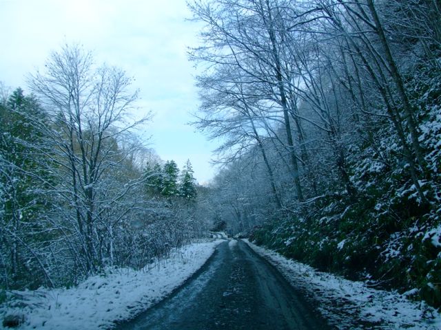 e0290546_200716.jpg