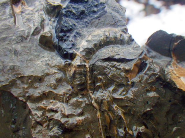 e0290546_20103788.jpg