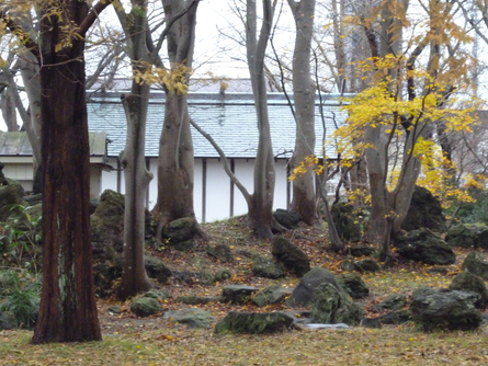 b0238249_20373739.jpg