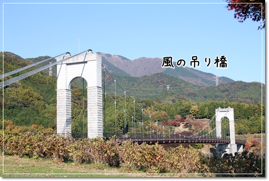 d0013149_15524095.jpg
