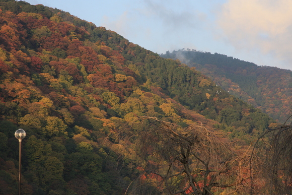 a0024250_15292321.jpg