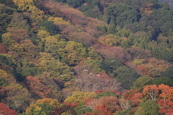 a0024250_1533777.jpg