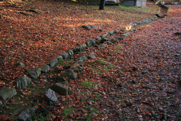 a0024250_16425344.jpg