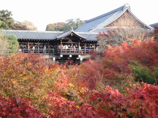 a0181459_15551234.jpg