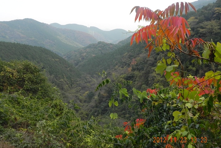 f0016066_19242760.jpg