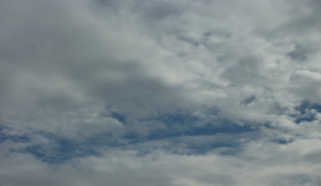 d0168567_1334679.jpg