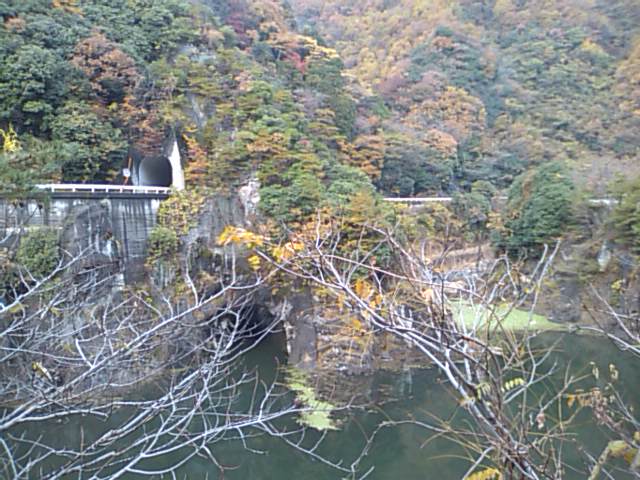 f0061067_1722267.jpg
