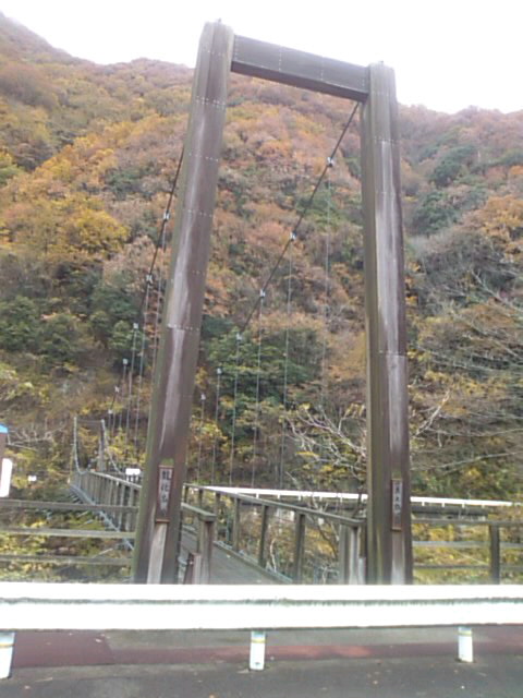 f0061067_1722275.jpg