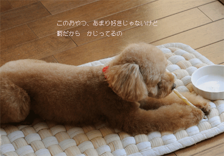 c0196673_13485338.gif