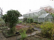 a0142083_22284871.jpg