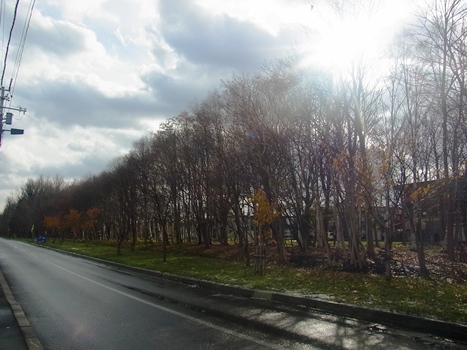 f0148183_23151733.jpg