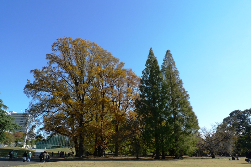 a0127090_1817254.jpg