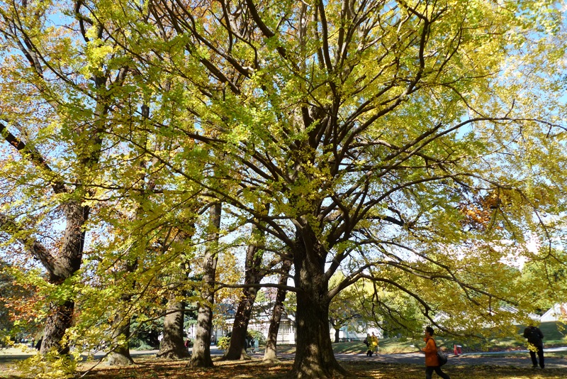 a0127090_1818199.jpg