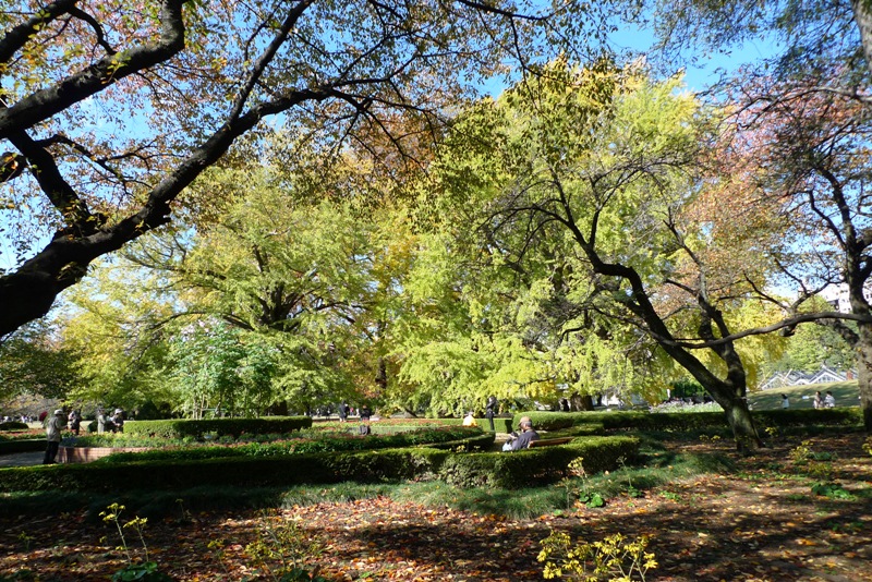 a0127090_18182792.jpg
