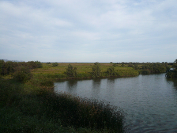 a0147890_1431513.jpg