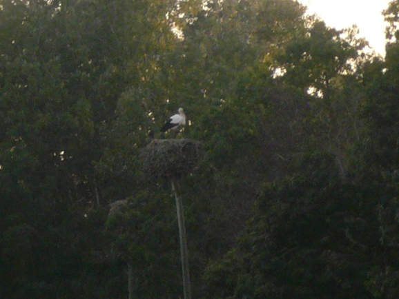 a0147890_1432779.jpg