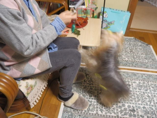 f0130894_2226742.jpg