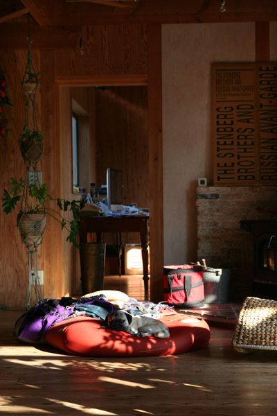 d0100095_929497.jpg