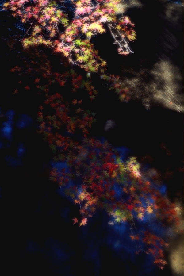 d0192097_2035415.jpg