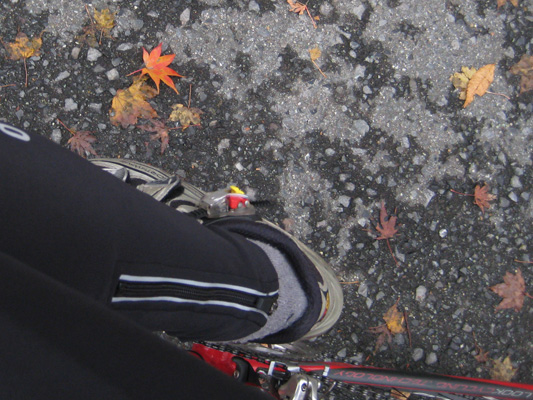b0097200_23385551.jpg