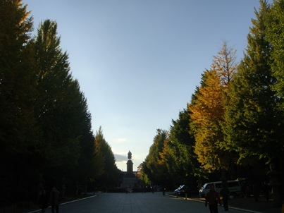 a0167803_18412222.jpg