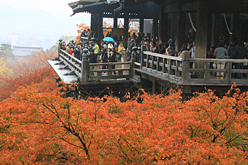 b0014607_18393813.jpg