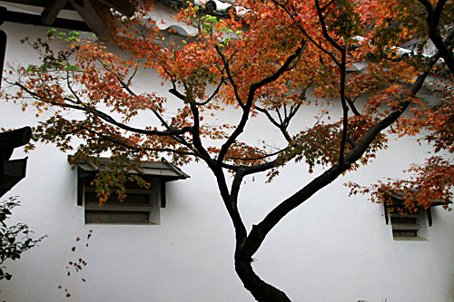 b0014607_18412783.jpg
