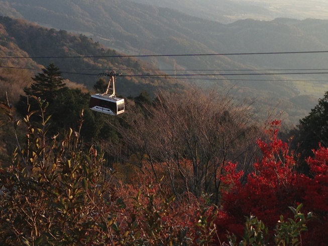 f0162908_2331373.jpg