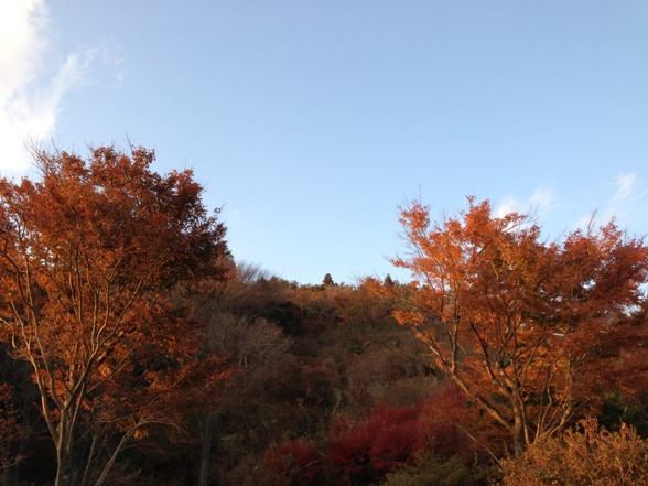 f0162908_2384020.jpg