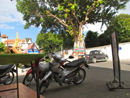 b0051109_10453698.jpg