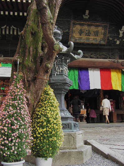 d0154609_13582365.jpg