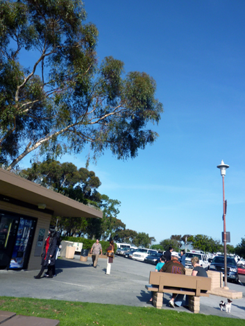 c0148812_1633431.jpg